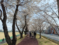 天気が良かった...