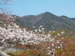 栃木市大平町西...