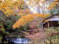 古峯神社へ向か...