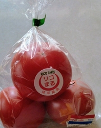平日午前中訪問...