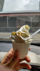暑い夏に食べた...