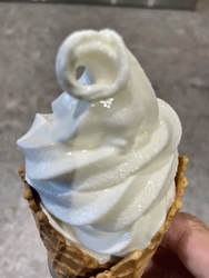 蒸し暑くて、新...