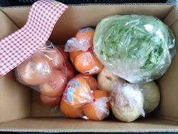 お彼岸のお供え...