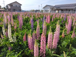 写真に映ること...