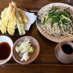 海老天もりそば...