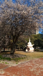 冬の終わりと、...