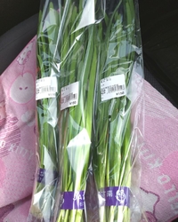 那珂川町の親戚...