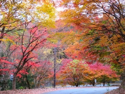 この日（16日...