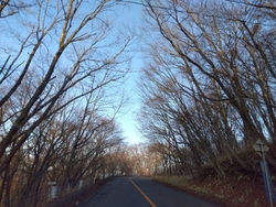 今回も鬼怒川方...