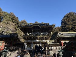 三が日を過ぎて...