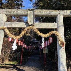 毎年お詣りをさ...