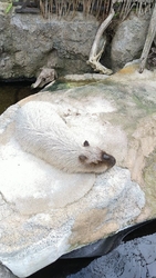 『栃木県なかが...