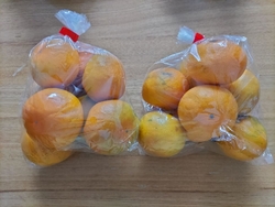 最近益々きのこ...