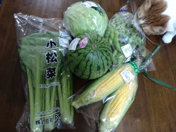 暑い日には、や...