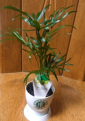 今日は常備品の...