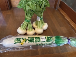 新鮮な高原大根...