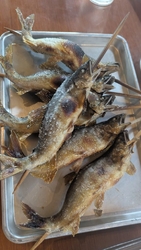 夏はあゆが食べ...
