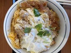 カツが食べたく...