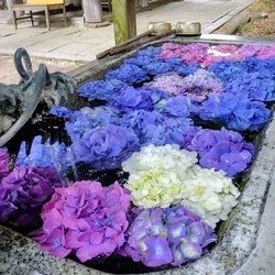 下野新聞に掲載...
