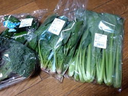とちぎ花センタ...