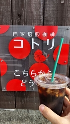 すっかりコトリ...