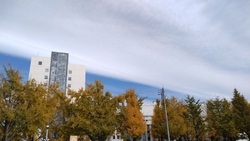 平日午前中訪問...