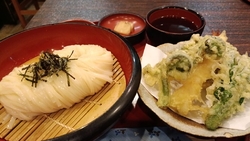 ポカポカ陽気の...