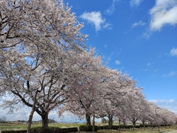 前日に雨だった...