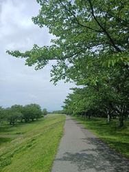 さくら市ミュー...