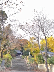 境内にある大き...