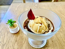 今日は、夏が再...