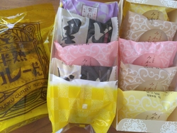 年に２回(１回...