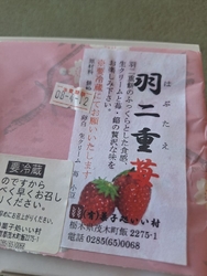 お初に11時半...