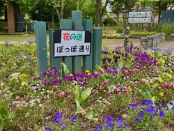 ぽっぽ公園も春...