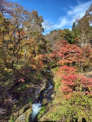 これまで、看板...