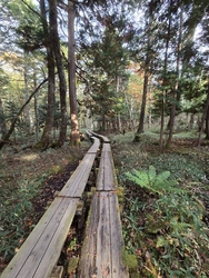 この日は、生ま...