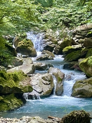 夏休みの最終日...