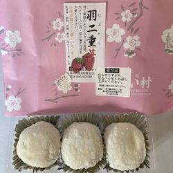 羽二重苺の季節...