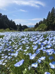 日光だいや川公...