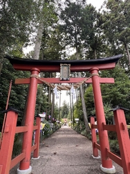 紫陽花は終盤に...