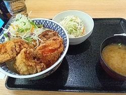 から牛丼にサラ...