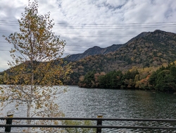 日光の奥の奥に...