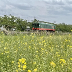 二度目の訪問で...
