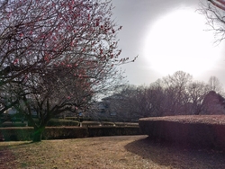 まだ早いとは思...