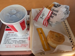 辛味フィレバー...