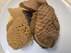 行ってみたかっ...