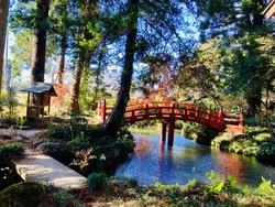 今年の1月に初...