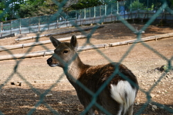 学校帰りに集ま...
