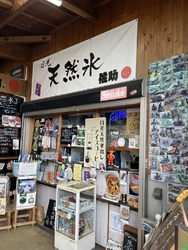 佐助さんと言え...