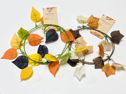 店内をふらっと...